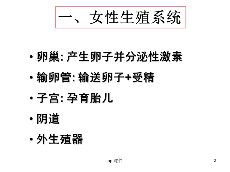 第二章 卵子发生课件.ppt_第2页