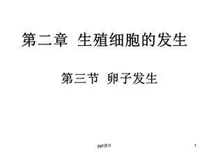 第二章 卵子发生课件.ppt