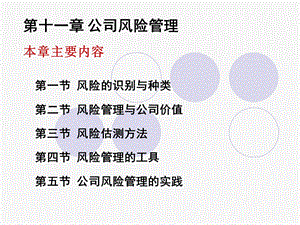 第11章 公司风险管理课件.ppt