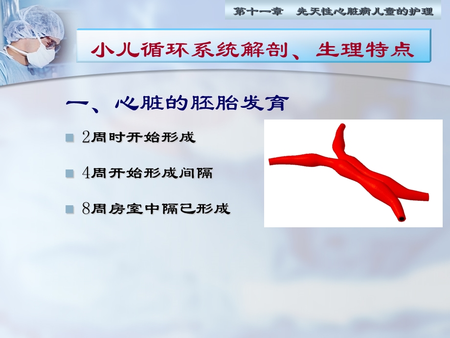 第11章 循环系统疾病患儿的护理课件.ppt_第3页