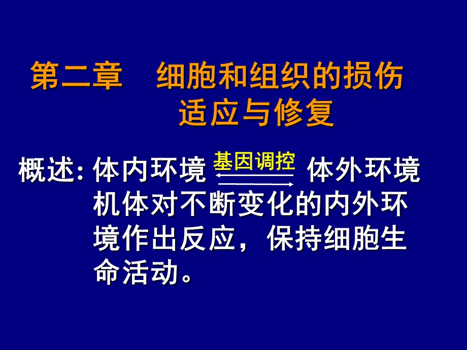 第1章细胞和组织的损伤适应与修复课件.ppt