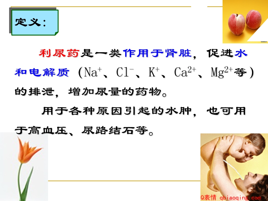 药理学：利尿药SYSH课件.ppt_第2页