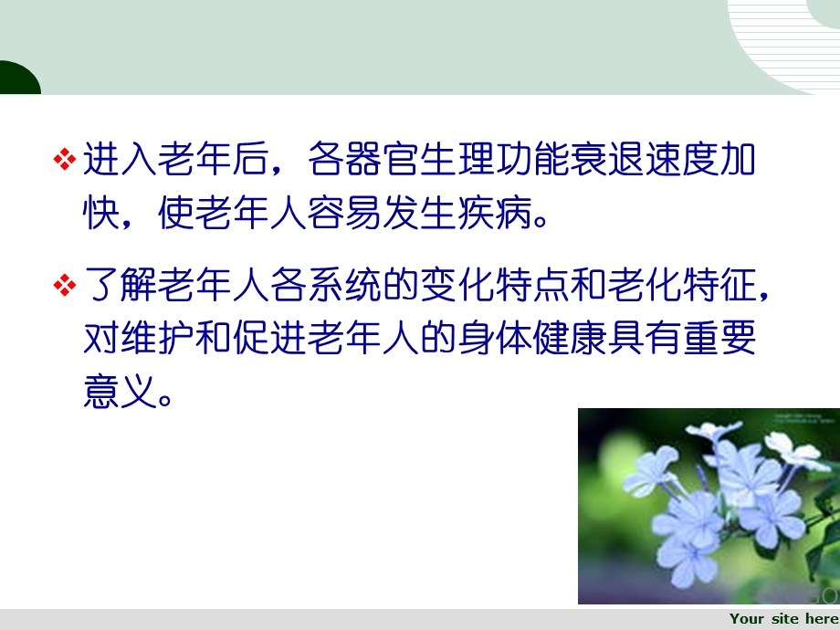 第二章 老年人各系统的老化改变课件.ppt_第3页