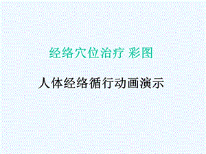 经络穴位及人体经络循行动画演示课件.ppt