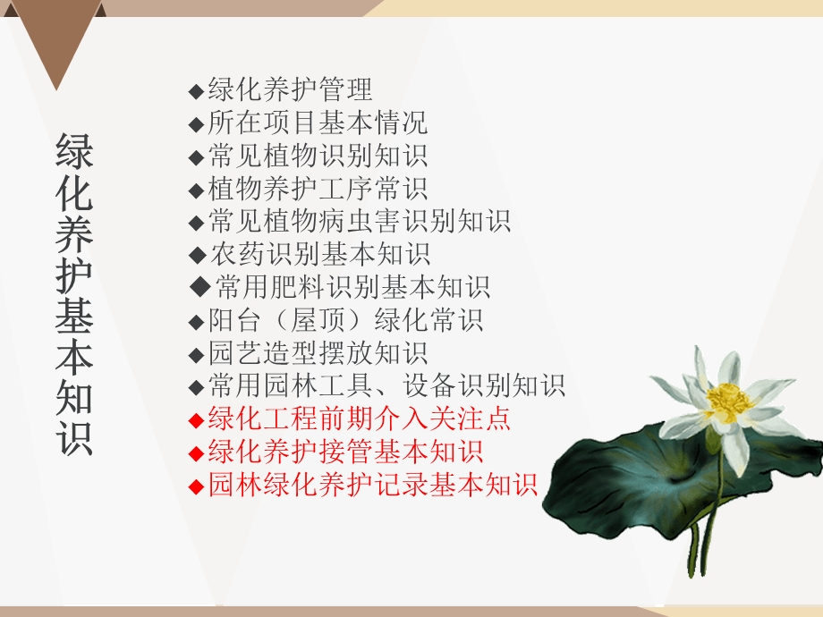 绿化养护常识培训课件.ppt_第2页