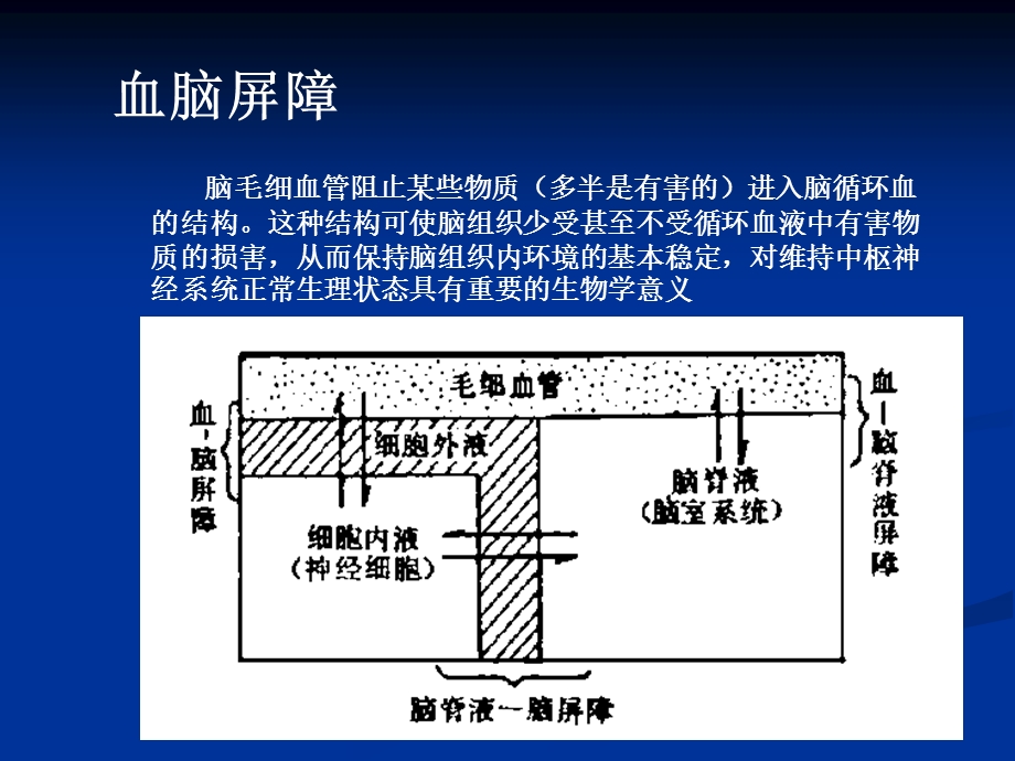 第二章镇静催眠药课件.ppt_第3页