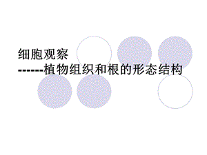 细胞观察植物组织和根的形态结构重点课件.ppt