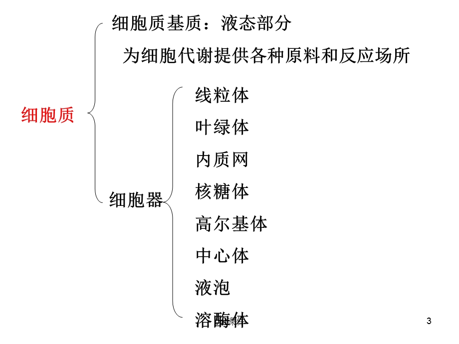 第三章第二节细胞器系统内的分工合作（详细）课件.ppt_第3页