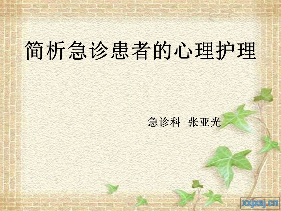 简析急诊患者的心理护理课件.ppt_第1页