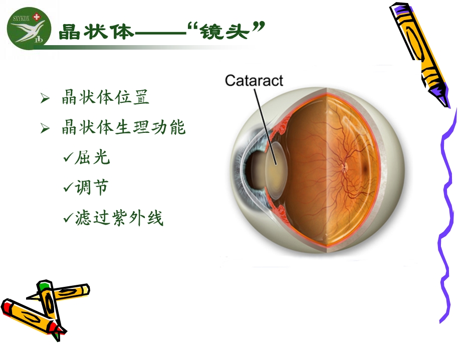 白内障宣教课件.ppt_第3页