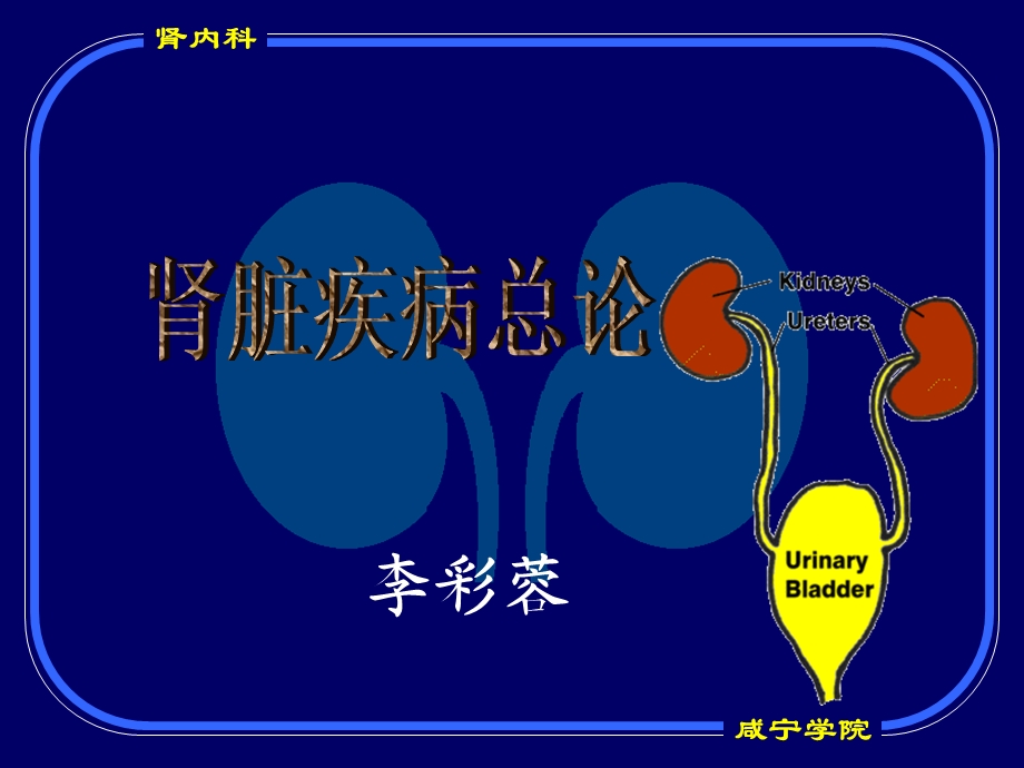 肾脏疾病总论课件.ppt_第1页