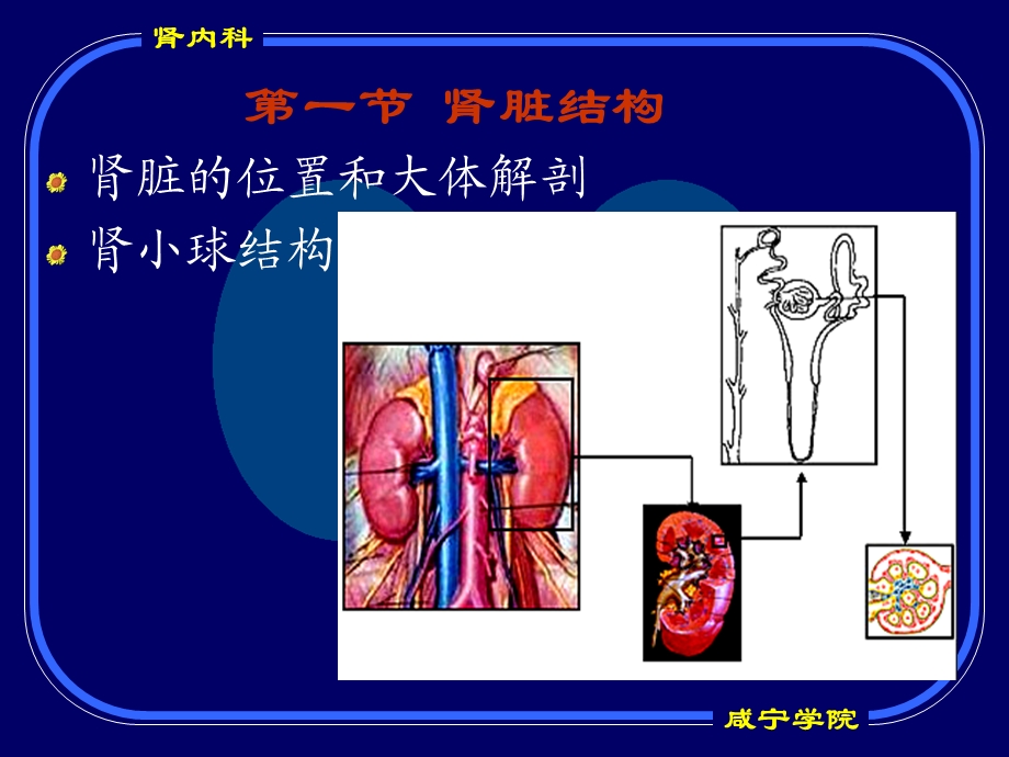 肾脏疾病总论课件.ppt_第2页