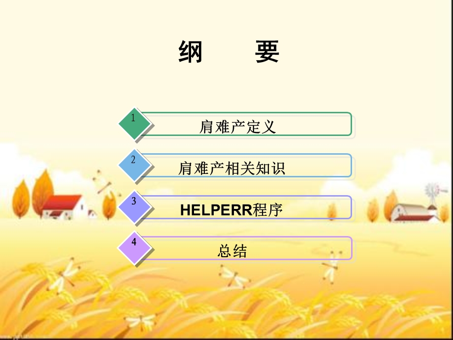 肩难产培训ppt课件.ppt_第2页