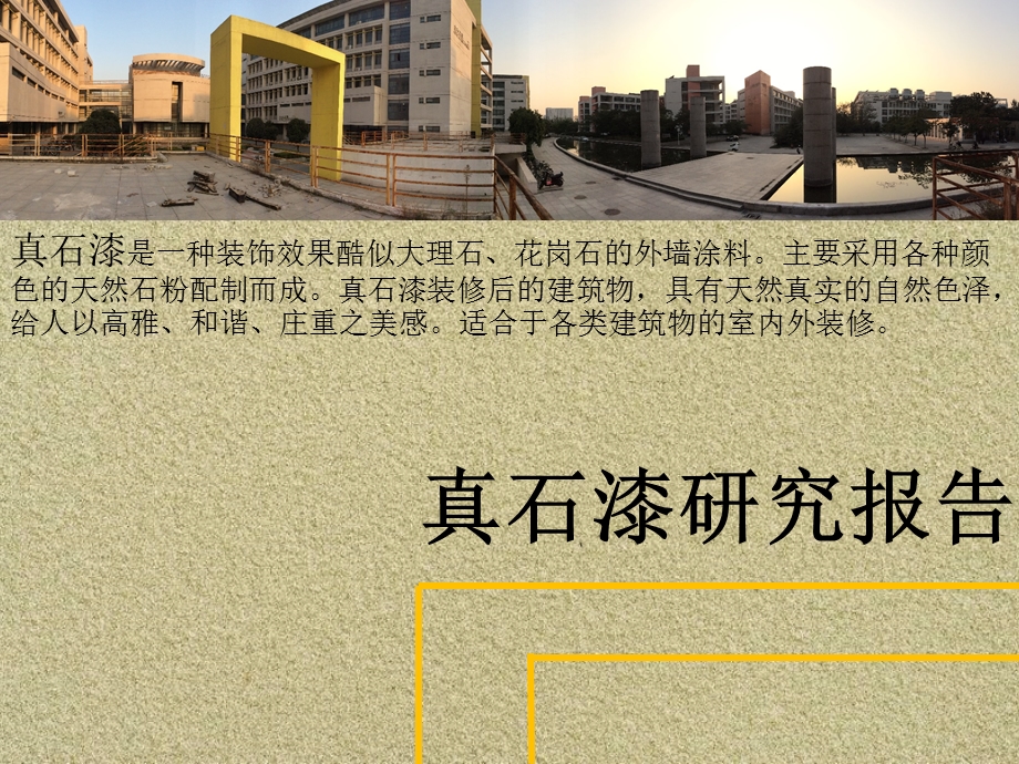 真石漆报告课件.ppt_第1页