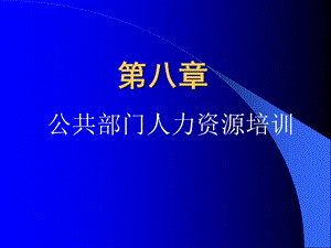 第八章公共部门人力资源培训ppt课件.ppt