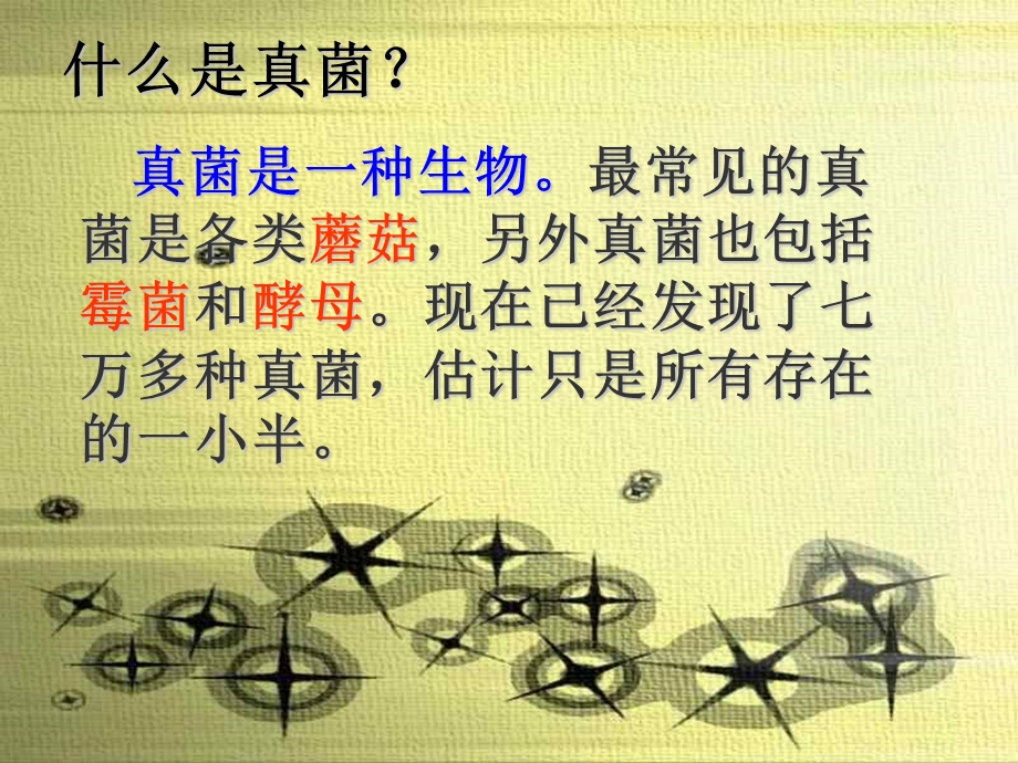 第二单元真菌ppt课件.ppt_第2页