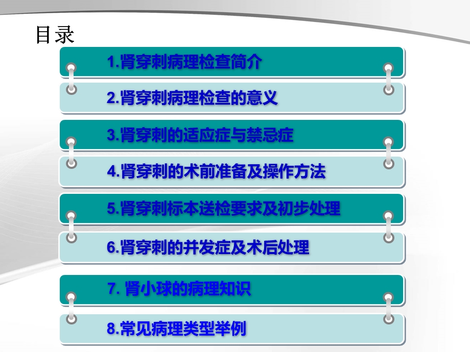 肾穿刺活检术课件.ppt_第3页