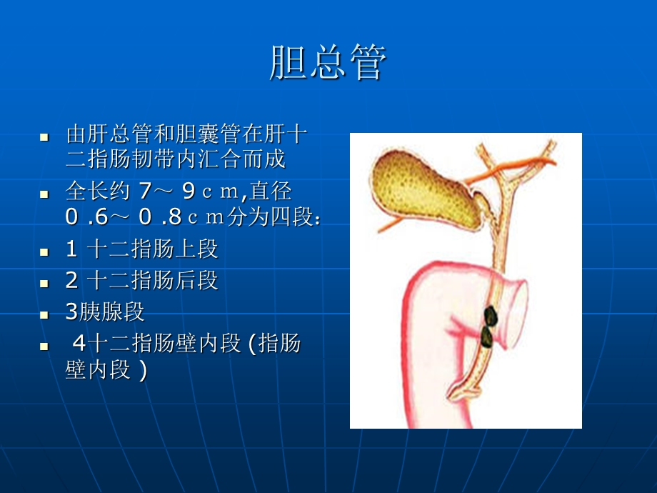 胆总管囊肿的影像学诊断 教材课件.ppt_第3页