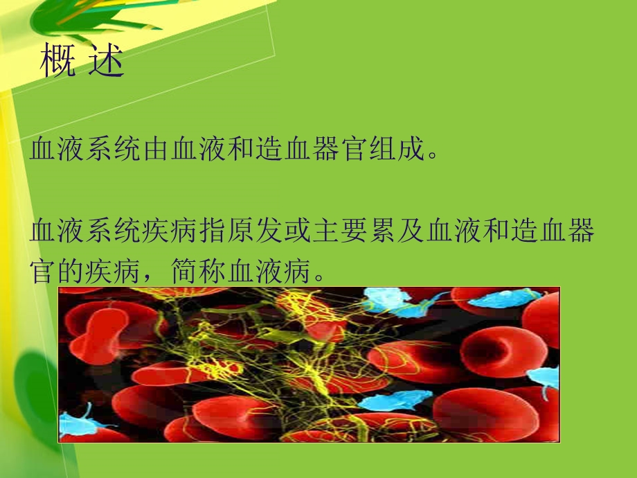 血液系统疾病的护理概述课件.ppt_第2页