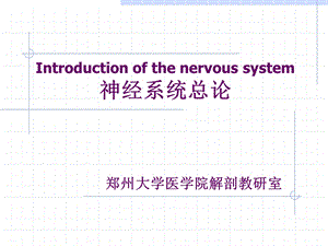 神经系总论、周围神经系统概述课件.ppt