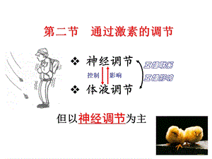 第二节 通过激素的调节课件.ppt