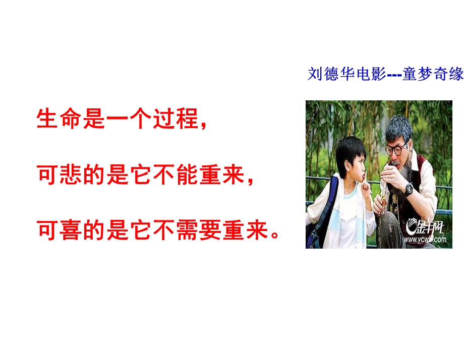 第三节细胞的衰老和凋亡课件.ppt_第2页