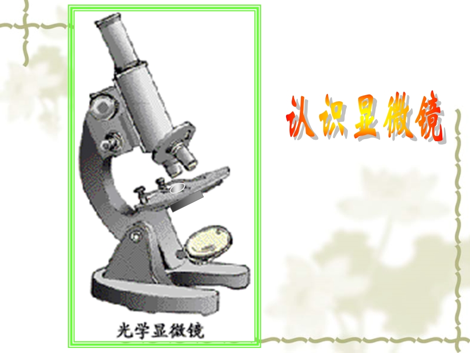 第一节练习使用显微镜课件.ppt_第3页