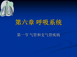 第6章 呼吸系统课件.ppt