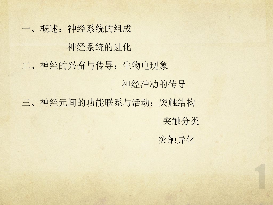 第二章 神经系统课件.pptx_第2页