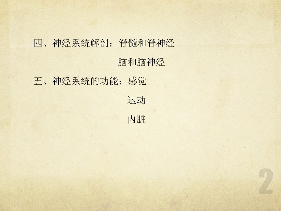 第二章 神经系统课件.pptx_第3页