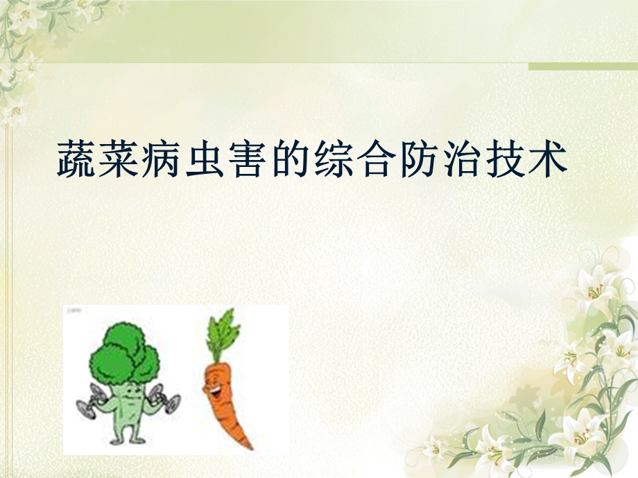 蔬菜病虫害综合防治技术课件.pptx_第1页