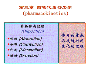 药理学 药物代谢动力学课件.ppt