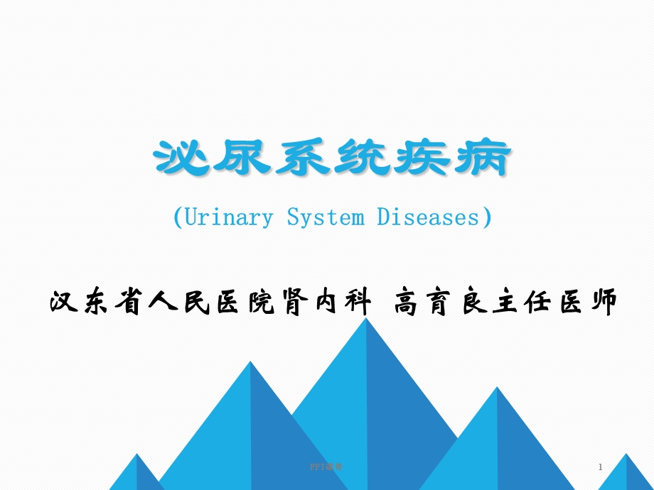 肾脏疾病概述课件.ppt_第1页