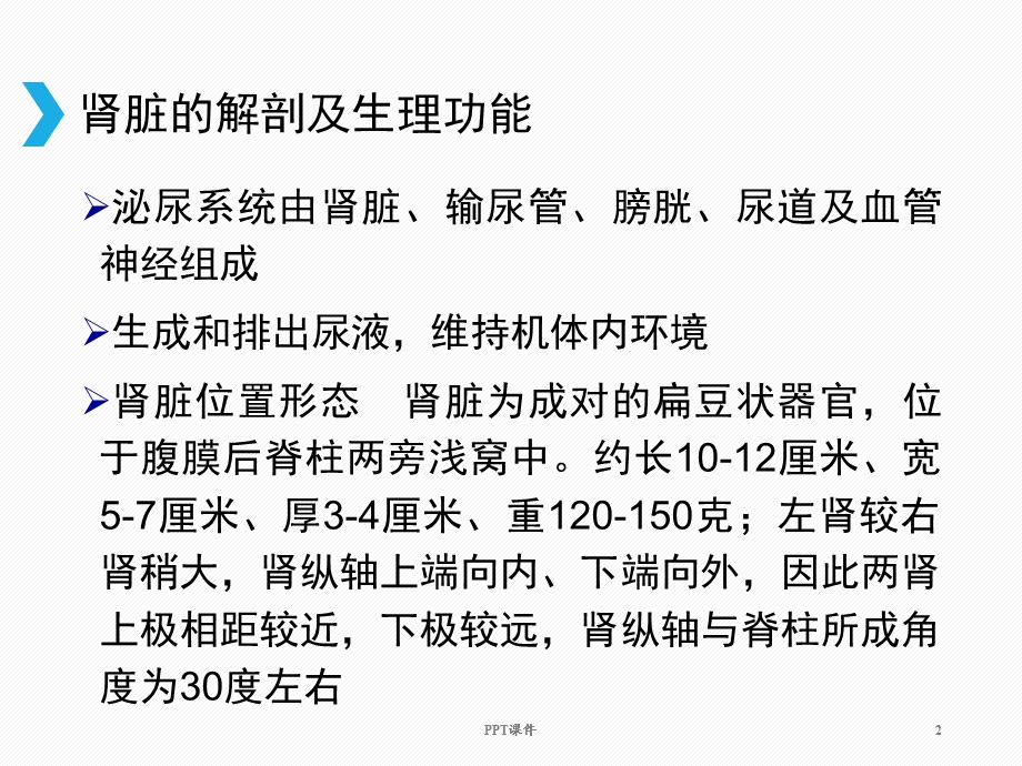 肾脏疾病概述课件.ppt_第2页