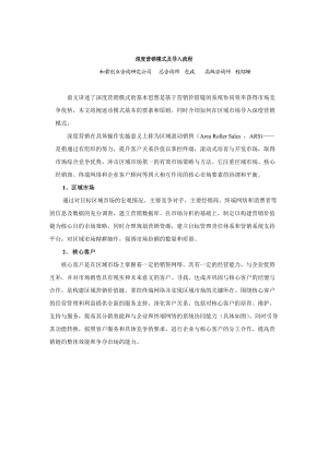 深度营销模式及导入流程分析.docx