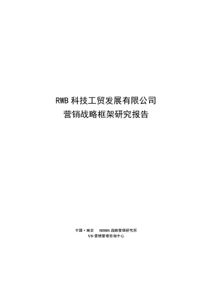 营销战略框架研究报告.docx