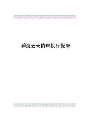 深圳某某房地产销售执行报告.docx