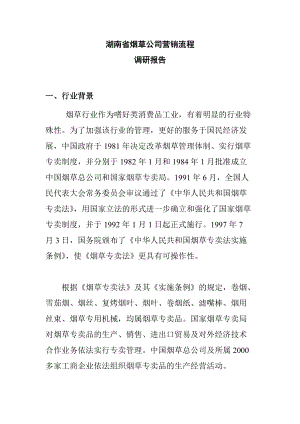 湖南省烟草公司营销流程研究报告.docx