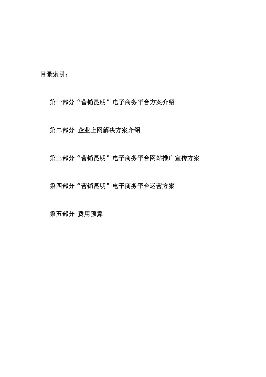 营销昆明电子商务网站网站建设方案.docx_第2页