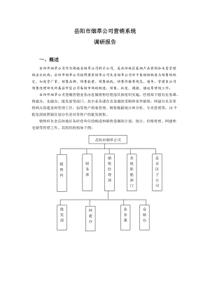 烟草公司营销系统调研报告.docx