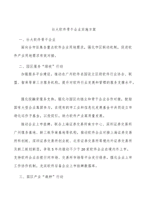 壮大软件骨干企业实施方案.docx