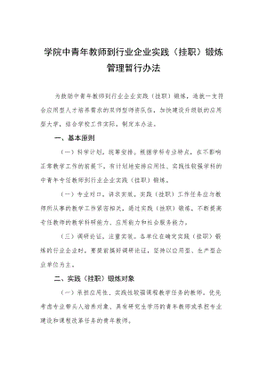 大学学院中青年教师到行业企业实践（挂职）锻炼管理暂行办法.docx