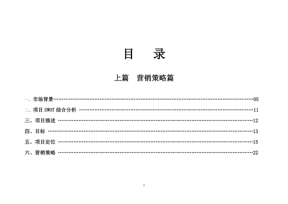 长沙坡子街商业项目整体营销方案.docx_第3页