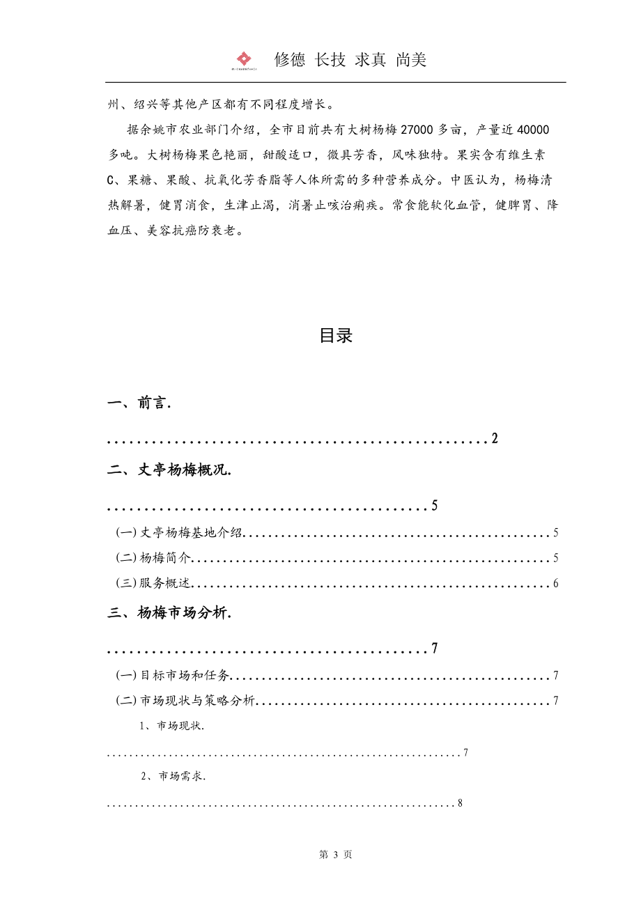 营销策划方案.docx_第3页