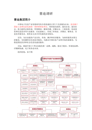 赛迪集团业务总览.docx