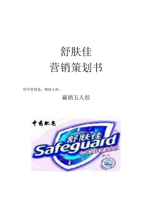 舒肤佳营销策划书.docx