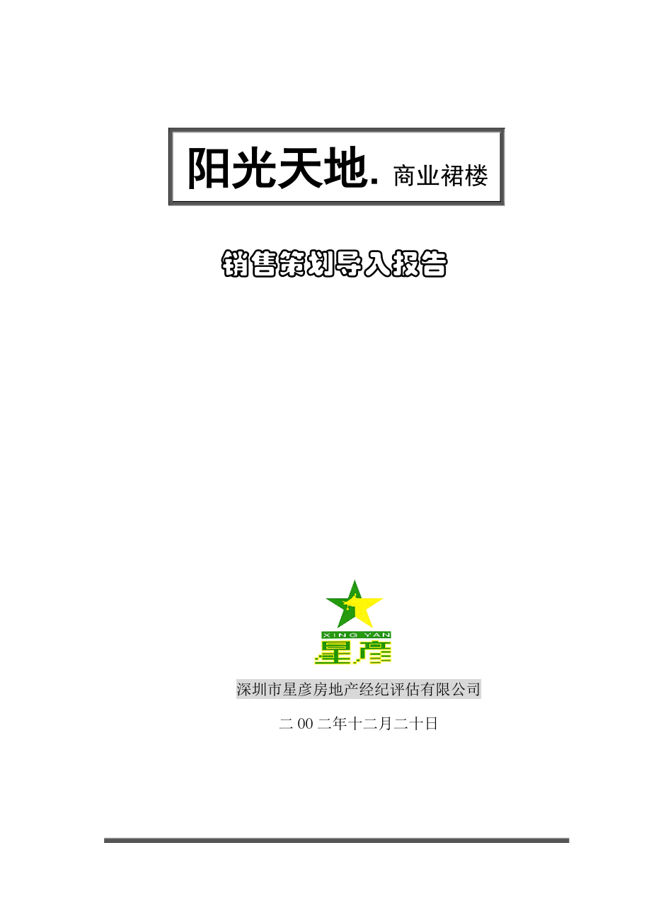 销售策划导入报告.docx_第1页