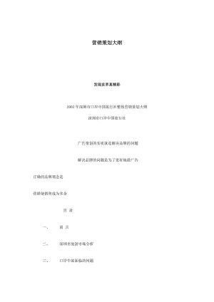 营销策划大纲.docx