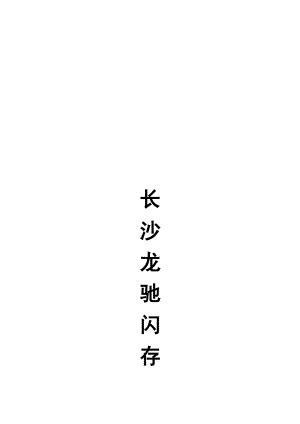 长沙龙驰闪存市场相关资料.docx