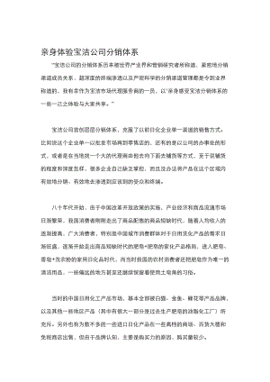 宝洁公司的分销体系.docx